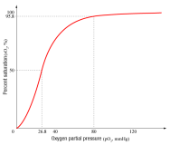 Se ve una gráfica donde se representa la la presión parcial de oxígeno (en mmde Hg) en el eje de abscisas frente % de hemoglobina saturada en el eje de ordenadas. La curva tiene forma sigmoidea. La curva parte del origen de coordenadas, tiene marcada el punto correspondiente al 50% de saturación, y suaviza la pendiente cerca del 100% de saturación.