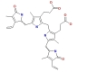 Se ve la representación de la estructura química de la bilirrubina formada por 4 pentágonos, anillos pirrólicos y sus respectivos radicales.  