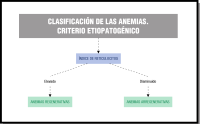 Es un esquema de la clasificación de las anemias, que parte del índice de reticulocitos que se divide mediante flechas en elevados y disminuidos, y a su vez elevados conecta con anemias regenerativas y disminuidos con anemias arregenerativas.