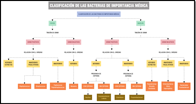 La  imagen muestra un esquema de clasificación de los géneros bacterianos más importantes desde el punto de vista médico. 