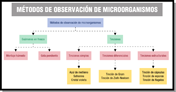 Esquema en el que se muestran los métodos más utilizadas en un laboratorio de microbiología para observar bacterias al microscopio. 