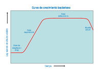 En la imagen sobre fondo azul se observa en rojo la curva característica del crecimiento bacteriano donde se pueden apreciar 4 fases.