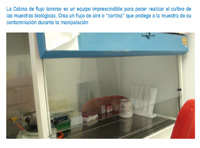 En la imagen se observa una cabina de flujo laminar. En su interior hay dispuestas ordenadamente una serie de cajas de puntas, micropipetas y otros materiales. Se incluye una breve explicación.