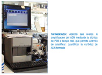 En la imagen se puede apreciar un aparato que realiza la amplificación del ADN a tiempo real. Tiene colocado en su parte superior un monitor en el que seguir los pasos de la amplificación. Se incluye una breve explicación.