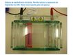 En la imagen se puede apreciar una cubeta  que tiene en su interior un gel de agarosa en el que han sembrado varias muestras para su separación mediante electroforesis.