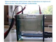 En la imagen se puede apreciar una cubeta de electroforesis vertical con un gel en su interior. Detrás aparece la fuente de  alimentación utilizada en la técnica. Se incluye una breve explicación.