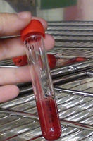 En la imagen se puede apreciar la mano del técnico dentro de la estufa de cultivo sosteniendo un tubo que tiene en su interior un líquido de color rojo.