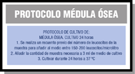 Esquema en el que se muestran los pasos más importantes de la puesta en marcha de un cultivo de las muestras de médula ósea.