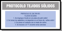 Esquema en el que se muestran los pasos más importantes de la puesta en marcha de un cultivo a partir de una biopsia de tejido sólido.