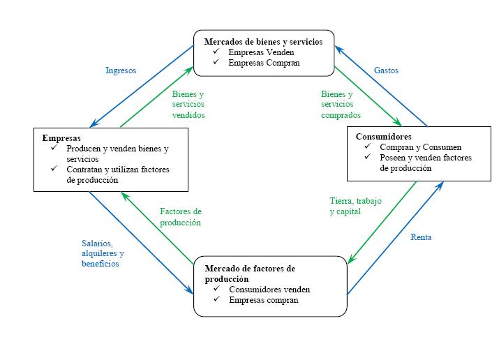 Flujos de renta entre los diferentes actores que intervienen enla economía. 