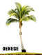Logo Empresa OENEGE.
