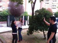 Dos chicas dicen adiós a un chico.