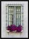 Ventana con reja y flores lilas.