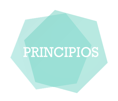 Logo-Principios