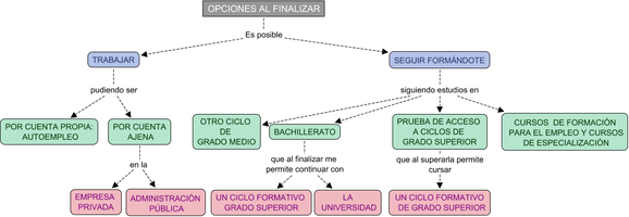 Esquema que muestra las opciones que tiene una persona cuando finaliza unos estudios. Éstas son trabajar o seguir formándose, incluyendo cada una diferentes opciones a su vez.