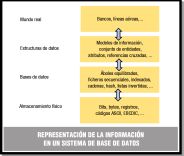 Esquema que representa los niveles de abstracción de una base de datos: mundo real, bases de datos, estructuras de datos, almacenamiento físico.