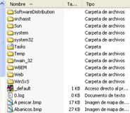 Carpetas y ficheros que se ven en el explorador de Windows.