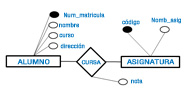 Se representan dos entidades (alumno, asignatura) conectadas a través de una relación (cursa). El atributo nota está asociado a la relación cursa. 
