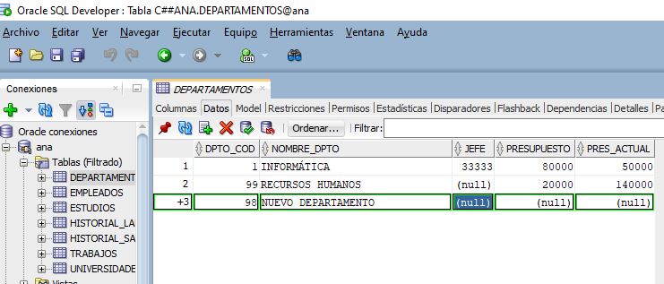 Captura de pantalla de la inserción de  filas utilizando el interface gráfico de SQLDeveloper