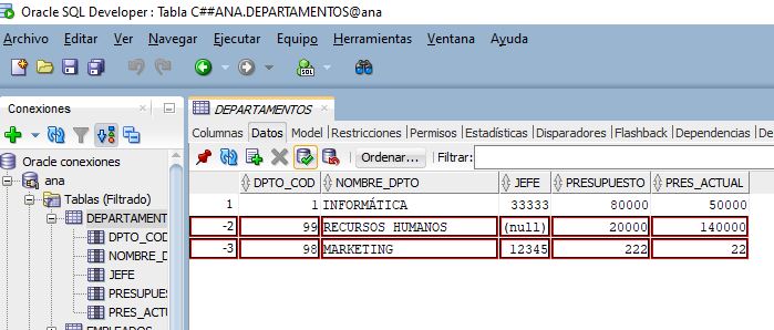 Captura de pantalla de filas seleccionadas para ser eliminadas en SQLDeveloper